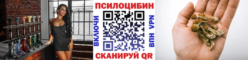 blacksprut как зайти  продажа наркотиков  Черкесск  Галлюциногенные грибы Cubensis 